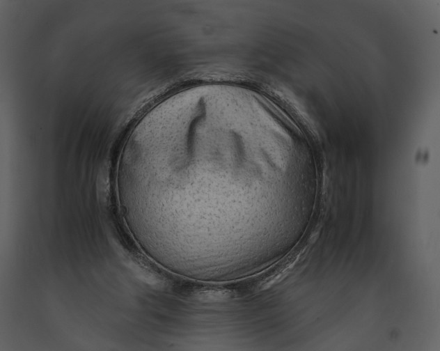 X0000090960202200708241200