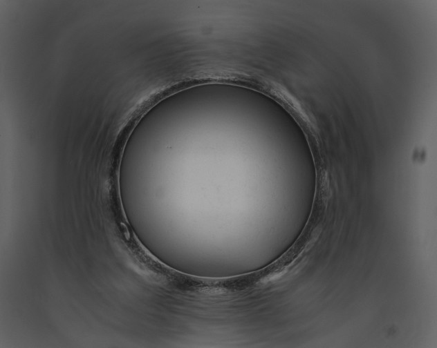 X0000090960203200708241200