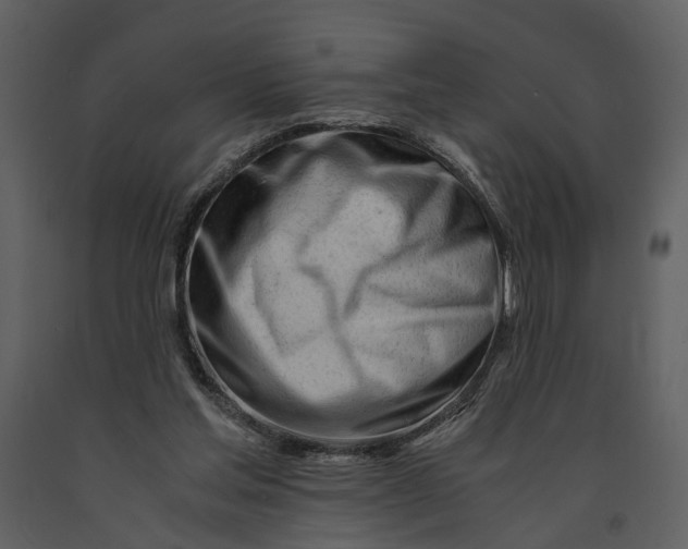 X0000090960205200708241200