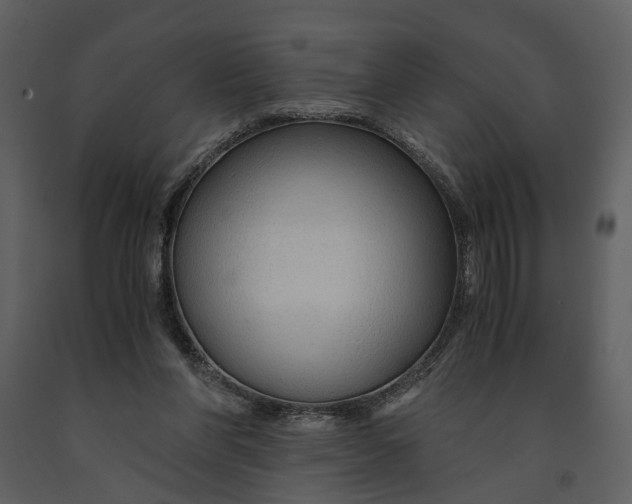 X0000090960206200708241200