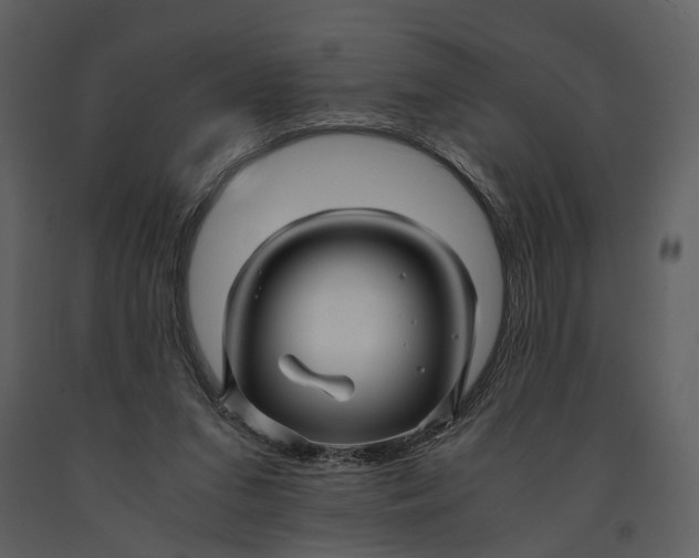 X0000090960207200708241200