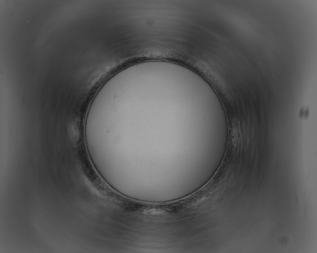 X0000090960208200708241200