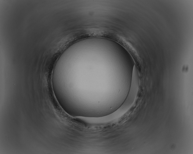 X0000090960209200708241200