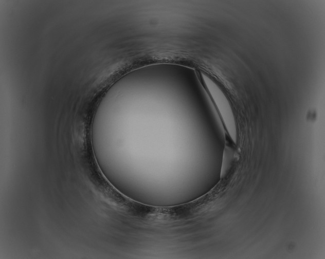 X0000090960211200708241200