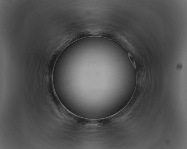 X0000090960213200708241200