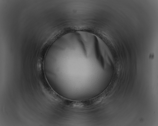 X0000090960214200708241200