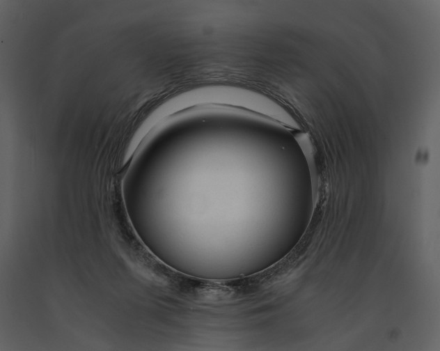 X0000090960215200708241200