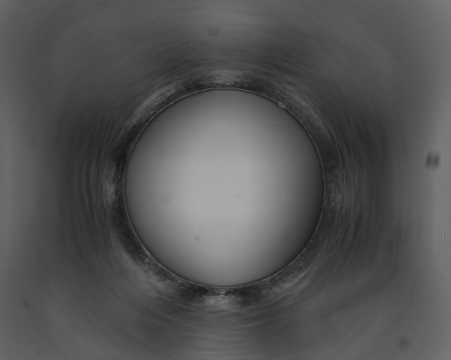 X0000090960216200708241200