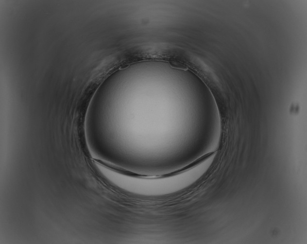 X0000090960217200708241200