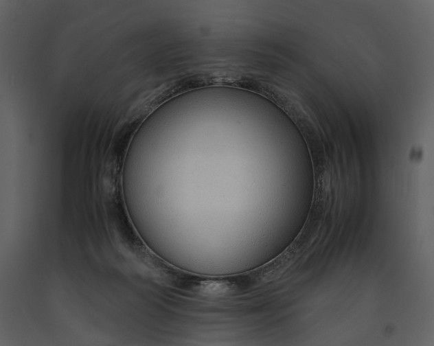 X0000090960218200708241200