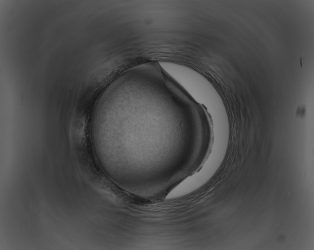 X0000090960219200708241200