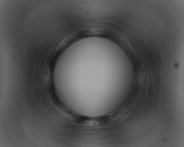 X0000090960220200708241200