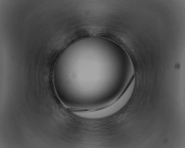 X0000090960221200708241200