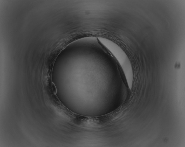 X0000090960223200708241200