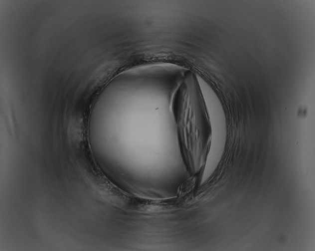 X0000090960224200708241200