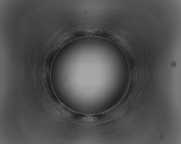 X0000090960225200708241200