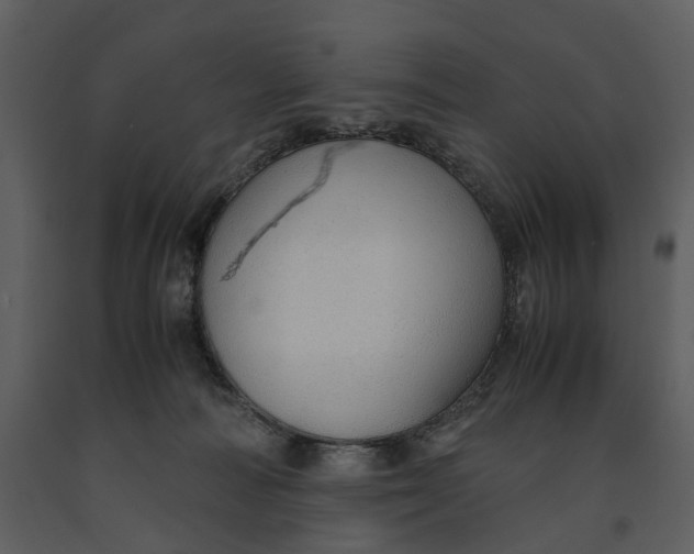 X0000090960226200708241200