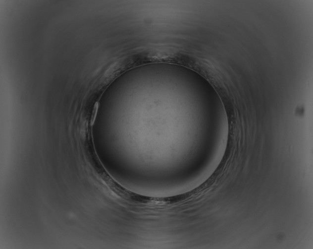 X0000090960227200708241200