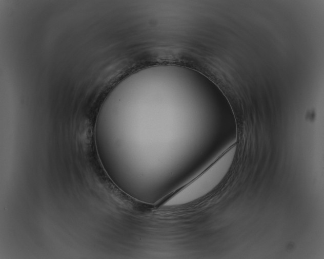 X0000090960228200708241200