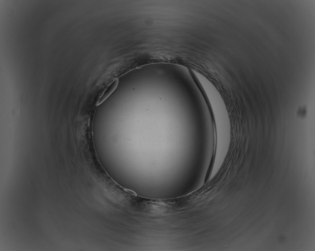 X0000090960229200708241200