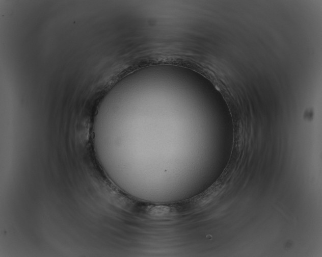 X0000090960230200708241200