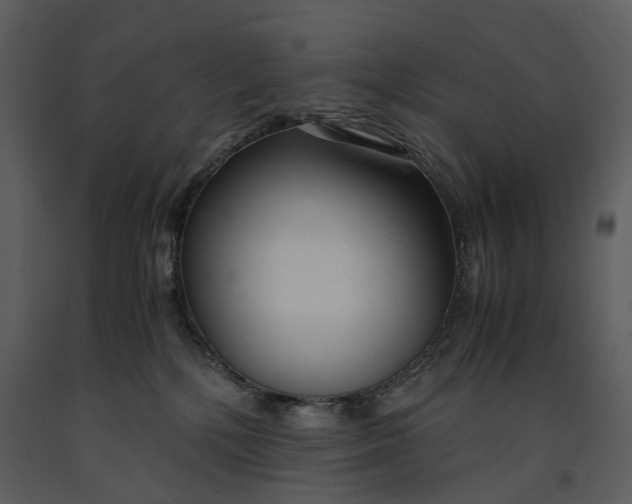 X0000090960232200708241200