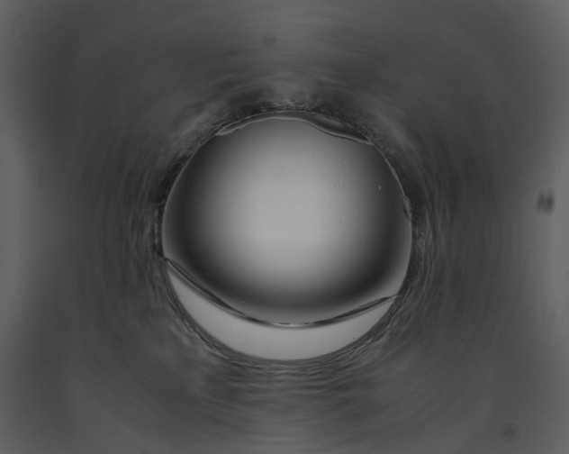 X0000090960233200708241200