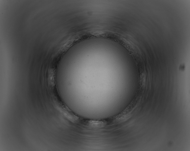 X0000090960234200708241200