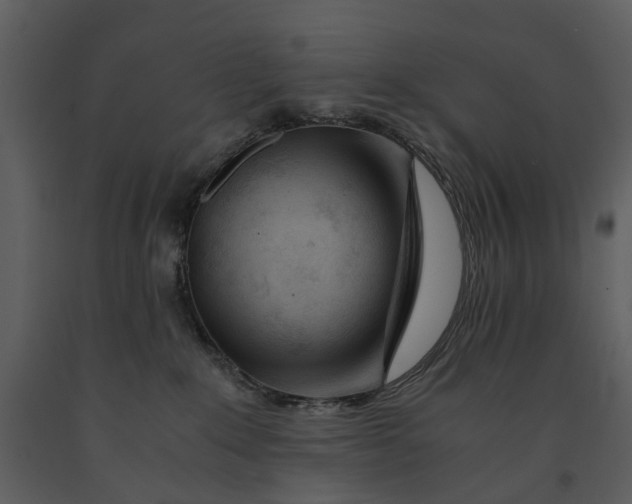 X0000090960235200708241200