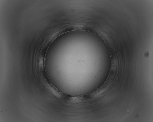 X0000090960238200708241200