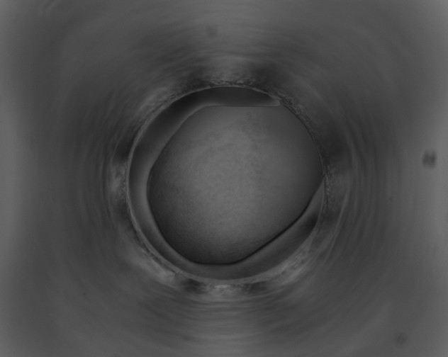 X0000090960239200708241200