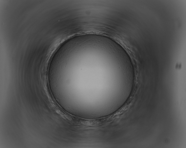 X0000090960241200708241159