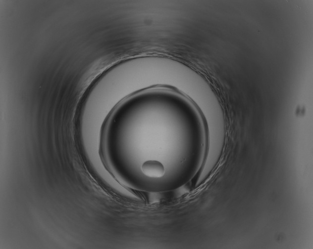 X0000090960242200708241159