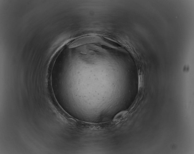 X0000090960243200708241159