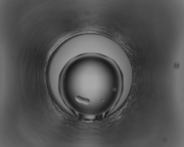 X0000090960244200708241159