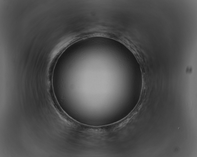 X0000090960245200708241159