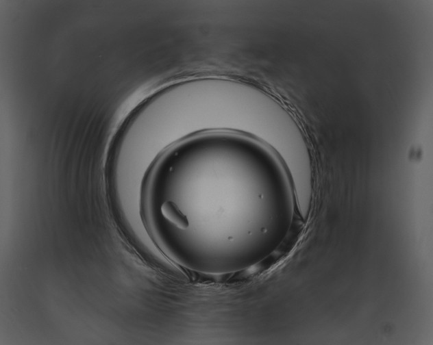 X0000090960246200708241159