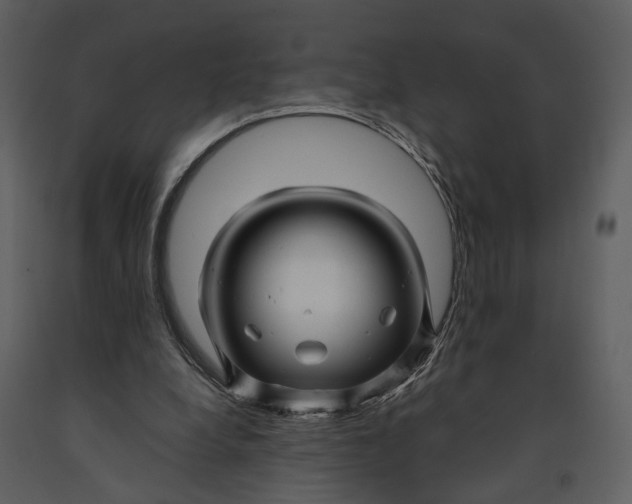 X0000090960248200708241159