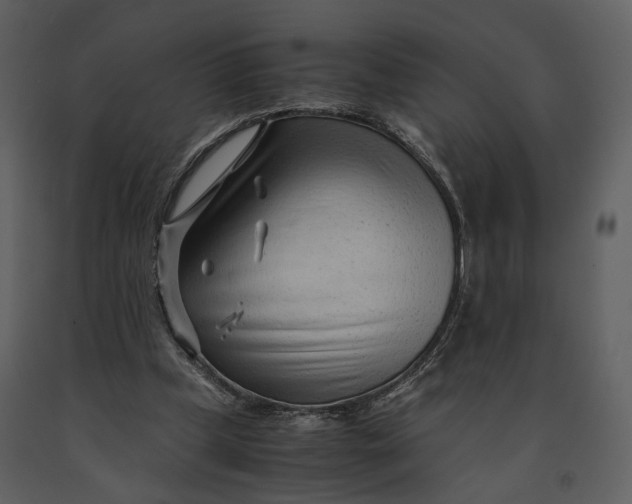 X0000090960249200708241159