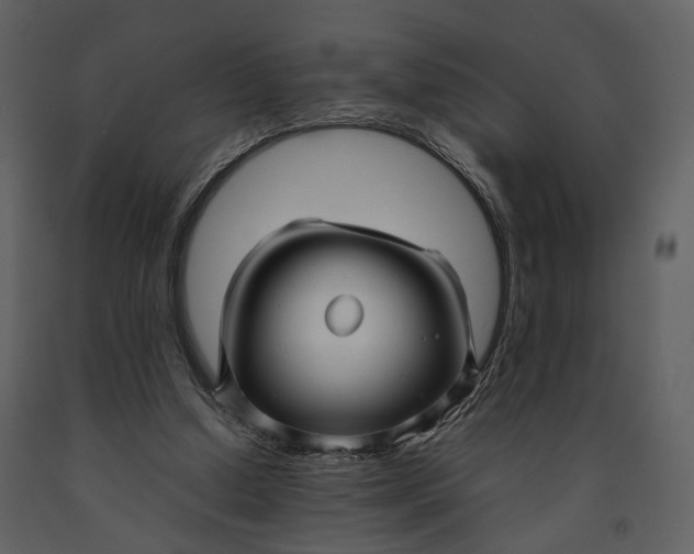 X0000090960250200708241159