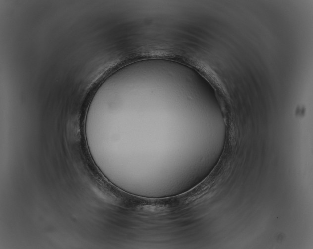 X0000090960251200708241159