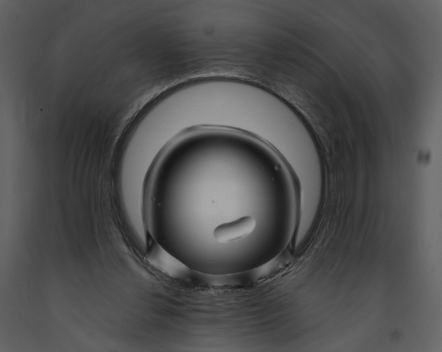 X0000090960252200708241159