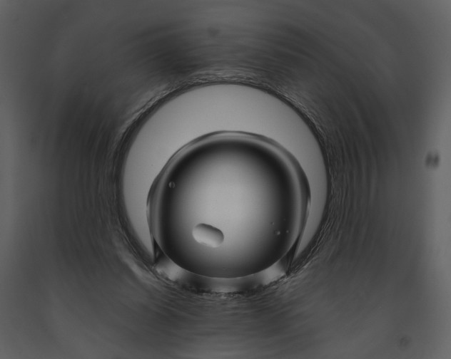 X0000090960254200708241159