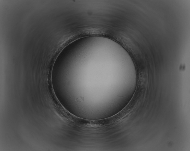 X0000090960255200708241159