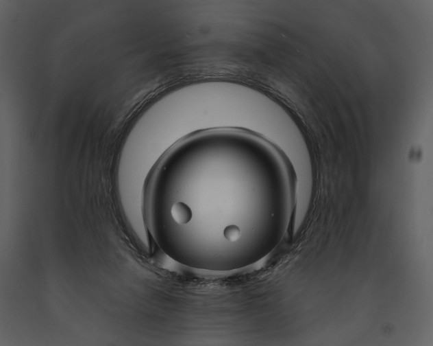 X0000090960258200708241159