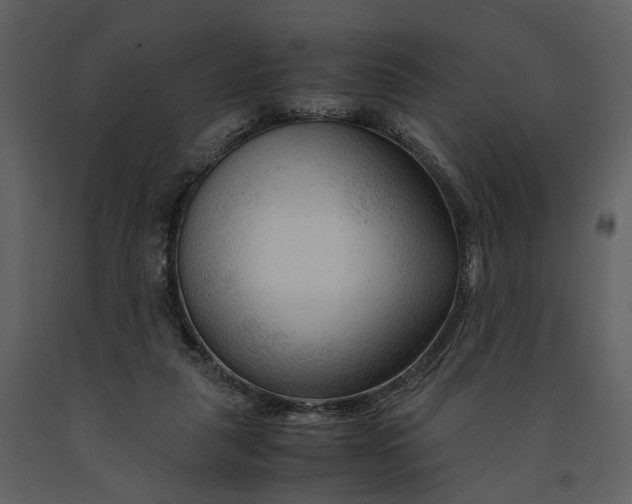 X0000090960259200708241159