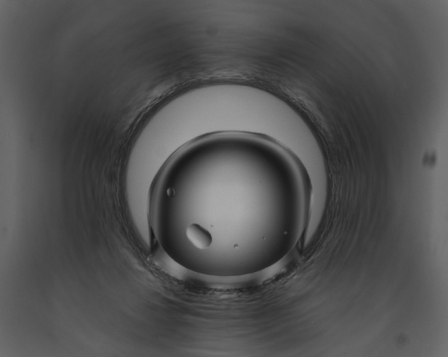 X0000090960260200708241159