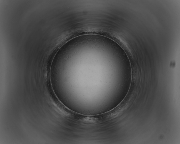 X0000090960261200708241159