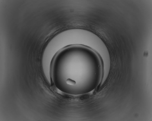 X0000090960262200708241159