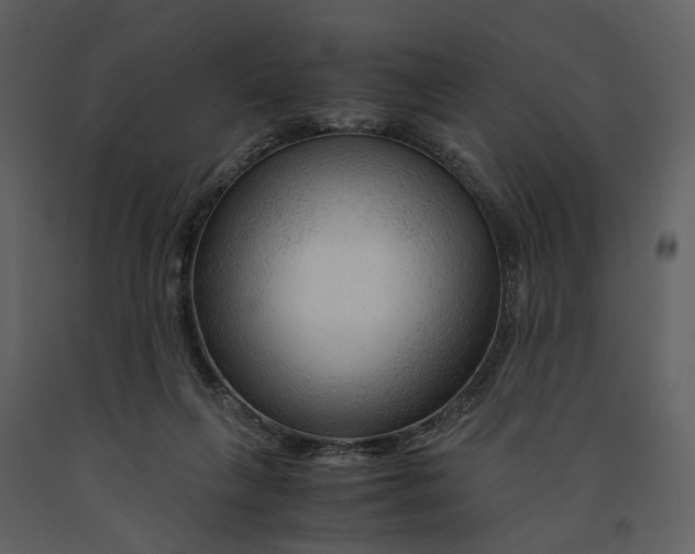 X0000090960263200708241159